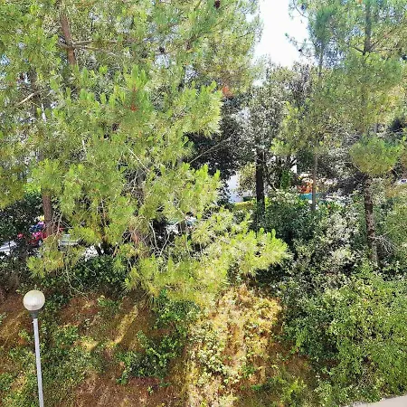 T2 Avec Terrasse A 300m De La De - Fr-1-550-32 Apartamento Saint-Georges-de-Didonne