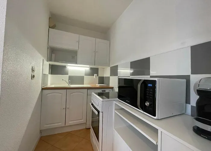 Apartamento T2 Avec Terrasse A 300m De La De - Fr-1-550-32 Saint-Georges-de-Didonne