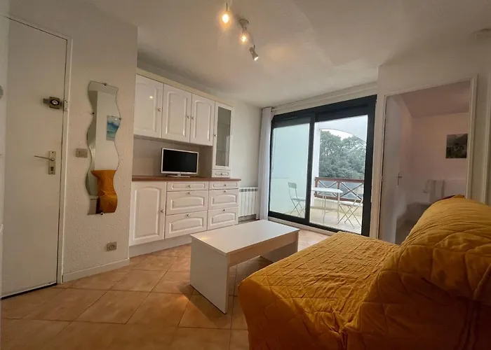 T2 Avec Terrasse A 300m De La De - Fr-1-550-32 Apartamento