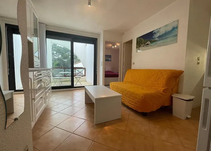 T2 Avec Terrasse A 300m De La De - Fr-1-550-32 Apartamento Saint-Georges-de-Didonne