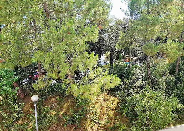 T2 Avec Terrasse A 300m De La De - Fr-1-550-32 Apartamento Saint-Georges-de-Didonne